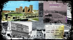 zorrilla22